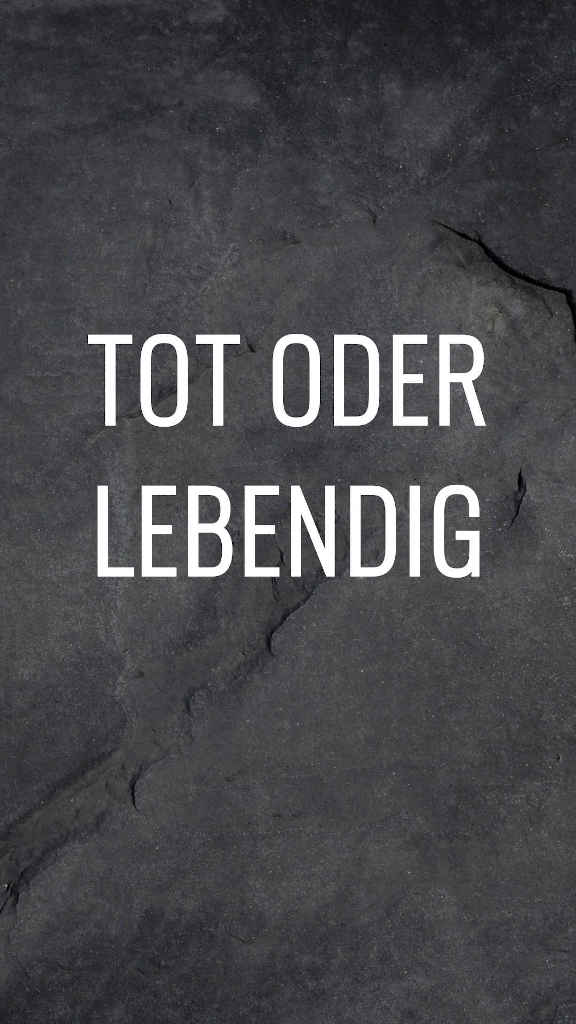 zum Liedtext
